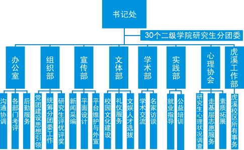 组织结构